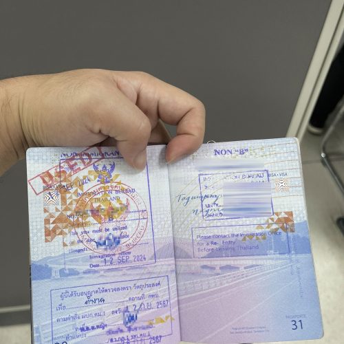 Work Visa 12